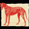 рисованная собака